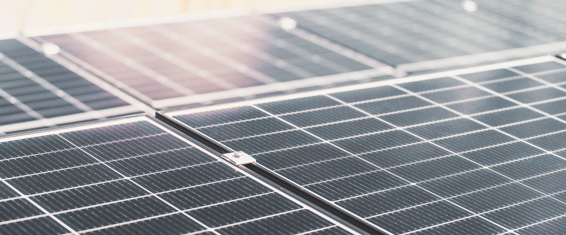 Sleek black monocrystalline solar panels in neat rows