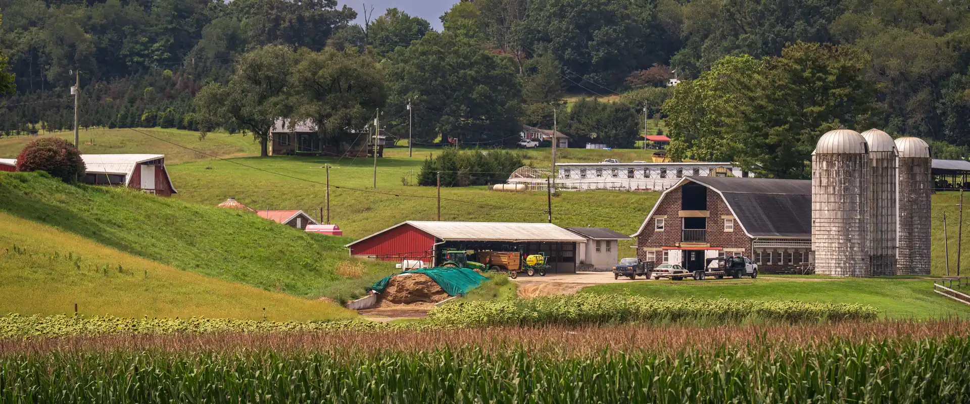 A rural farm with red barns and grain silos