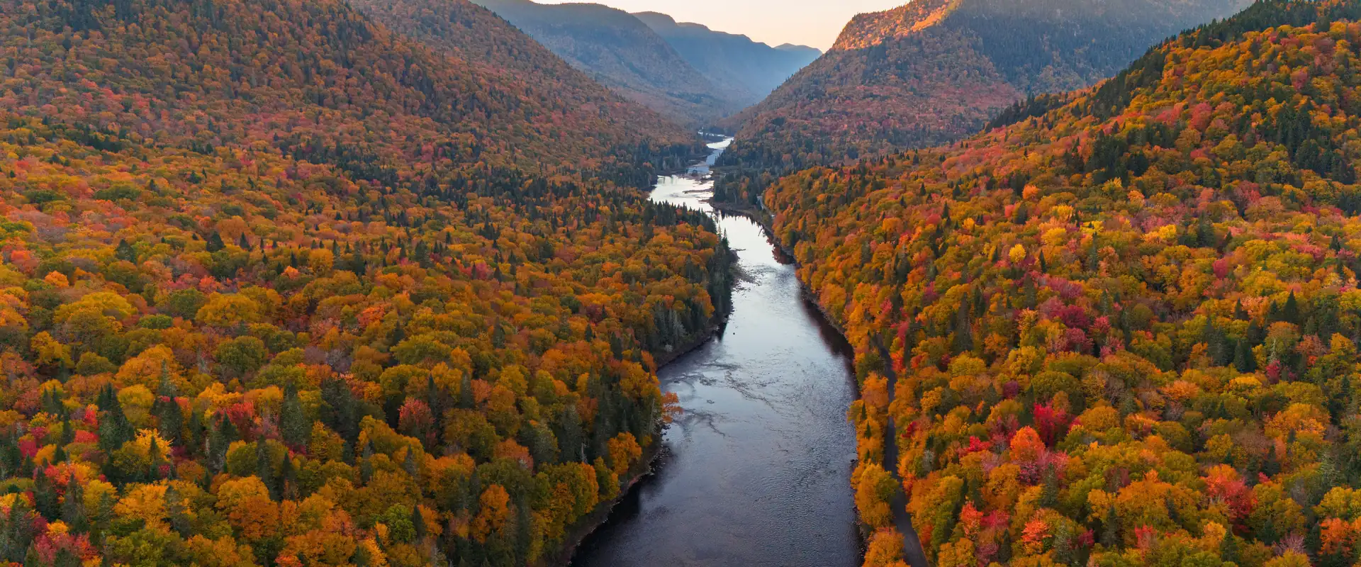 A river winding through forest in full autumn colour